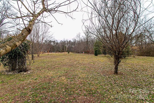 view of yard with a wooded view