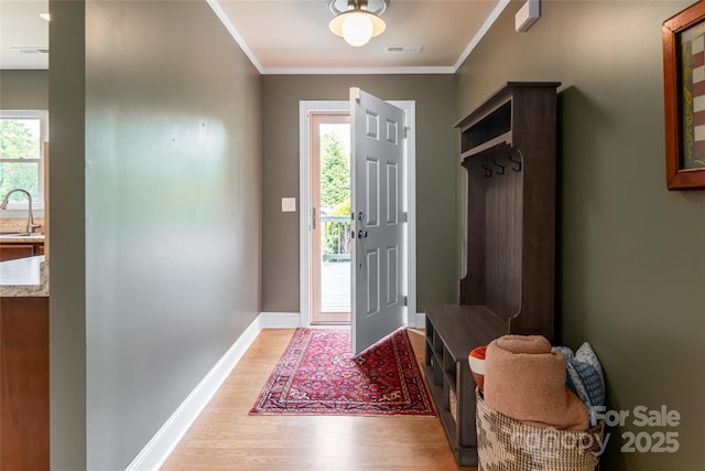 440 Island Ford Rd, Brevard, NC 28712 - photo 4