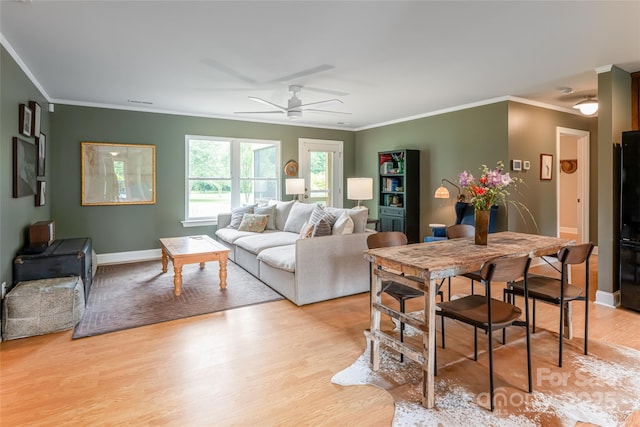 440 Island Ford Rd, Brevard, NC 28712 - photo 5