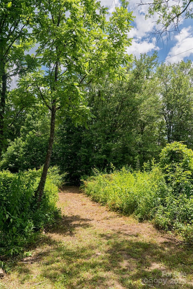 440 Island Ford Rd, Brevard, NC 28712 - photo 26