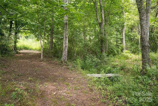440 Island Ford Rd, Brevard, NC 28712 - photo 30