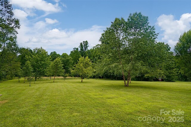 440 Island Ford Rd, Brevard, NC 28712 - photo 34