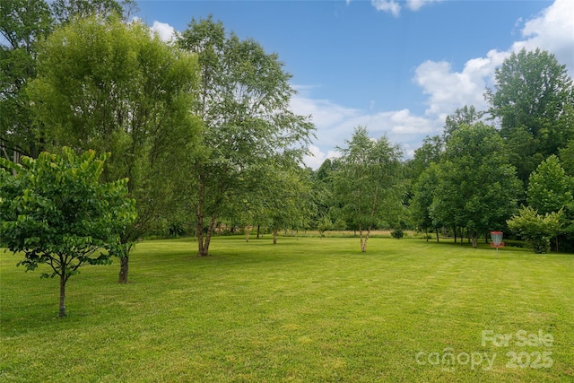 440 Island Ford Rd, Brevard, NC 28712 - photo 37