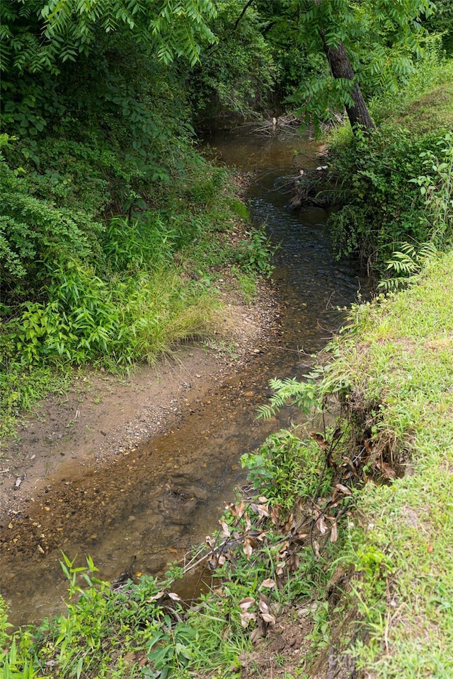 440 Island Ford Rd, Brevard, NC 28712 - photo 39