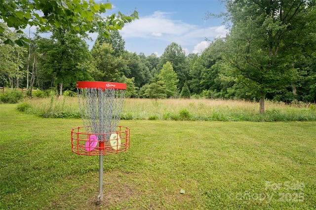 440 Island Ford Rd, Brevard, NC 28712 - photo 43