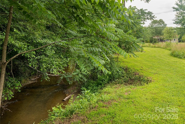 440 Island Ford Rd, Brevard, NC 28712 - photo 44