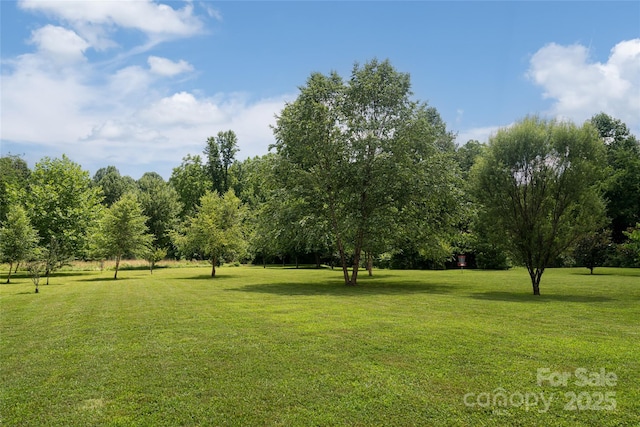 440 Island Ford Rd, Brevard, NC 28712 - photo 47