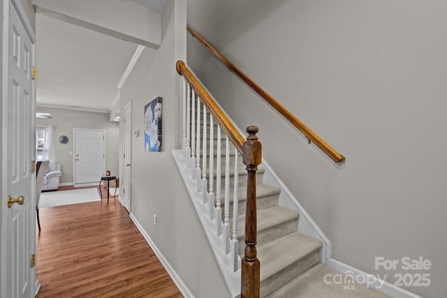 stairway featuring wood-type flooring and ornamental molding