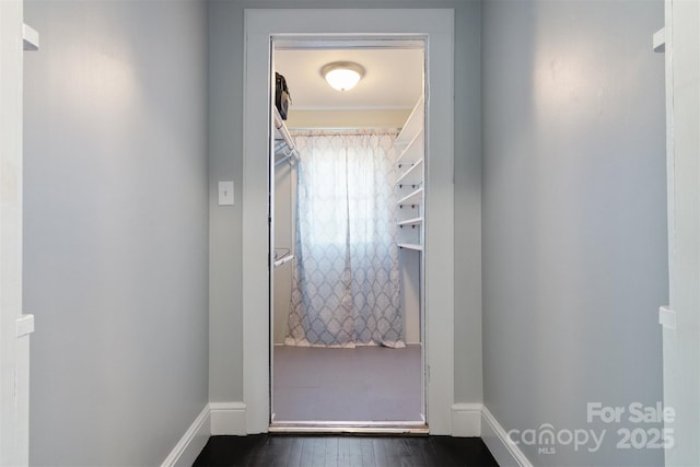 bathroom with hardwood / wood-style flooring