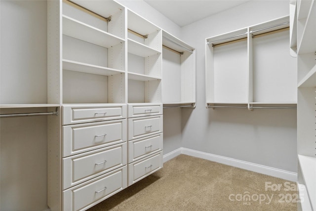 spacious closet with light colored carpet