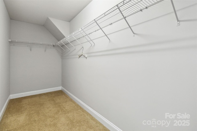 spacious closet with carpet floors