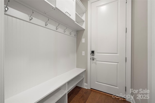 mudroom featuring dark wood-type flooring