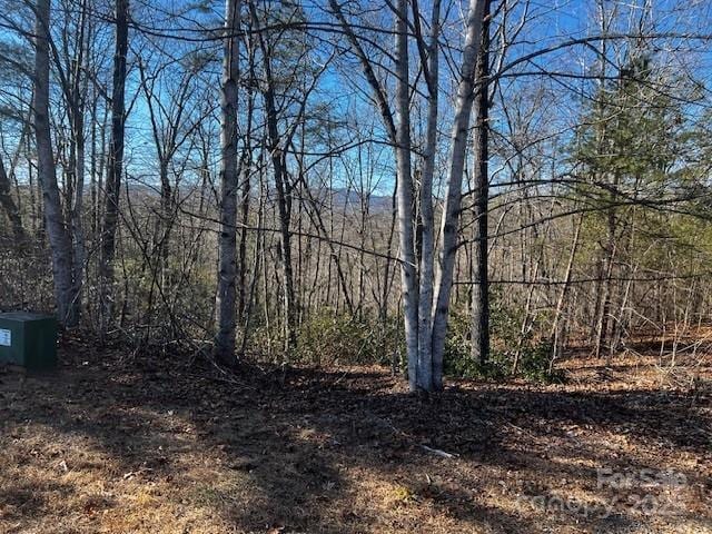 LOT37 N Mountain Ln, Mill Spring NC, 28756 land for sale