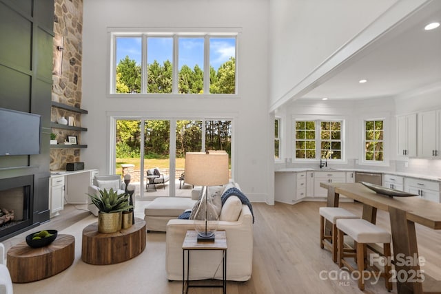 living room featuring a towering ceiling, a fireplace, and light hardwood / wood-style floors