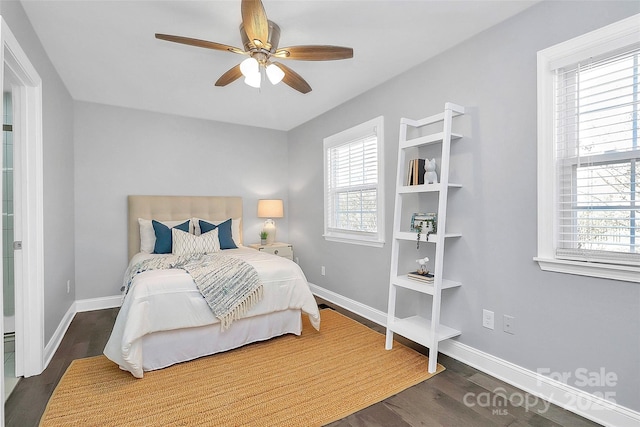 bedroom featuring multiple windows, dark hardwood / wood-style floors, and ceiling fan