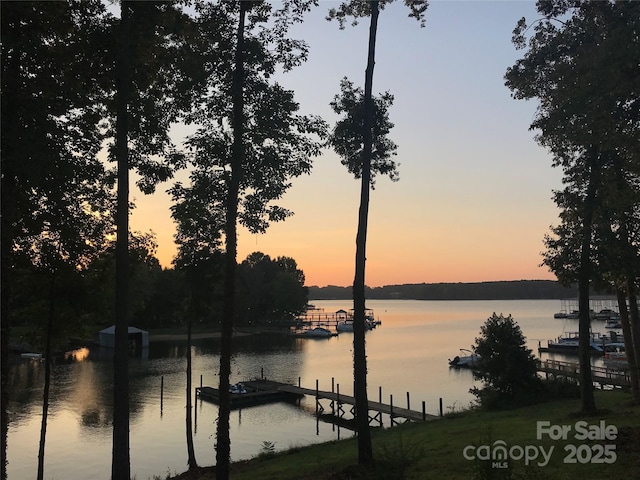 view of water feature with a boat dock