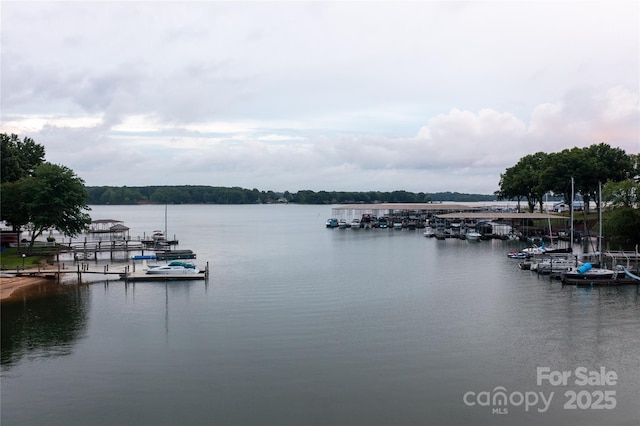 water view with a dock