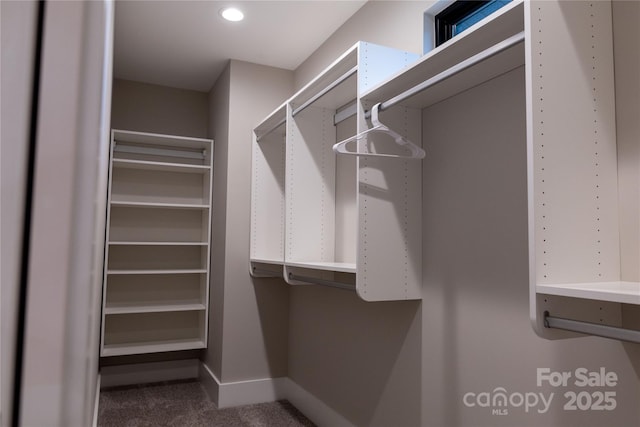 spacious closet with carpet flooring