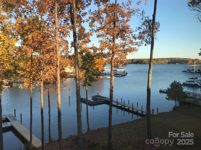 water view with a boat dock