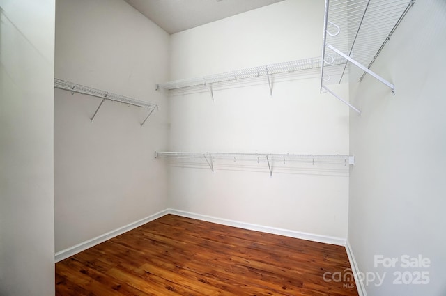 walk in closet with hardwood / wood-style flooring