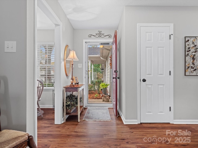 entryway featuring hardwood / wood-style floors