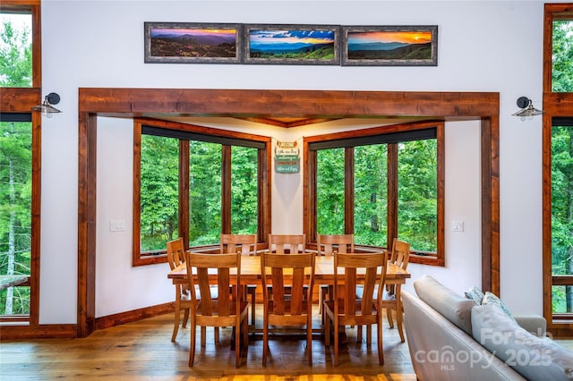 dining room with dark wood-type flooring and plenty of natural light