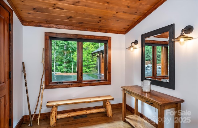 interior space featuring wood ceiling, plenty of natural light, vaulted ceiling, and light wood-type flooring