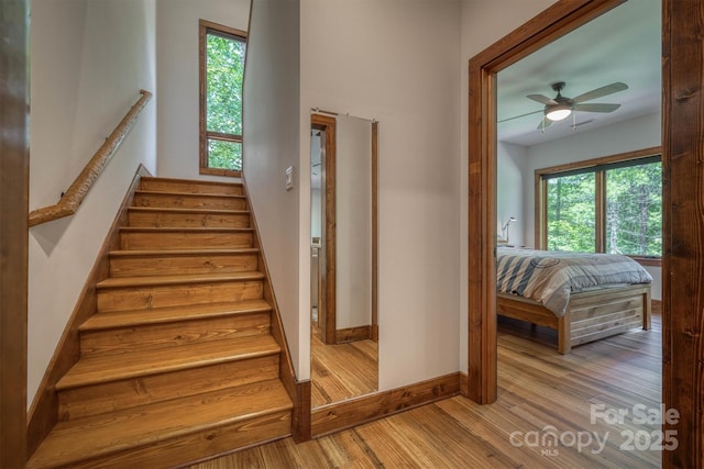2126 Sycamore Dr, Nebo, NC 28761 - stairs with wood finished floors, plenty of natural light, baseboards, and a ceiling fan