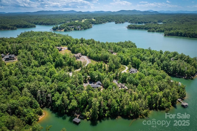2126 Sycamore Dr, Nebo, NC 28761 - aerial view of a forest and a water and mountain view