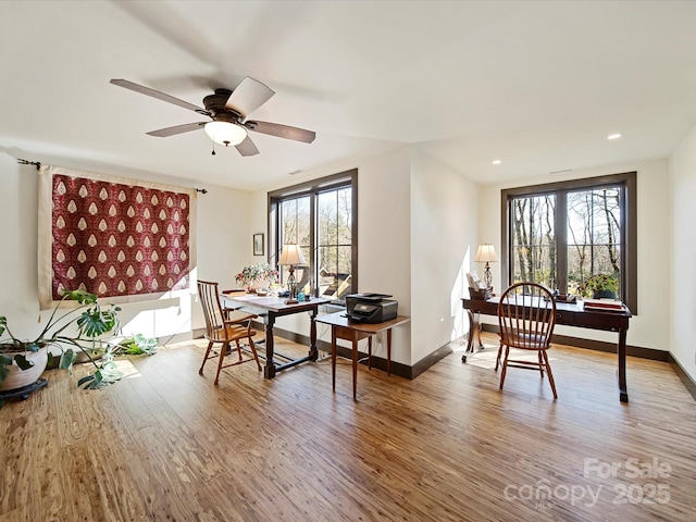 dining space with ceiling fan and wood-type flooring