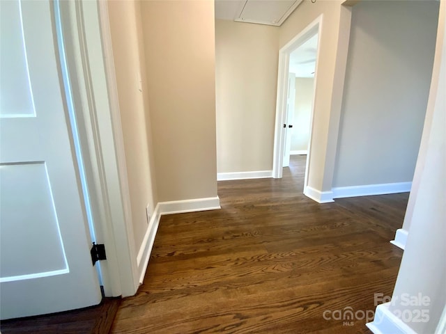 hallway featuring dark hardwood / wood-style flooring