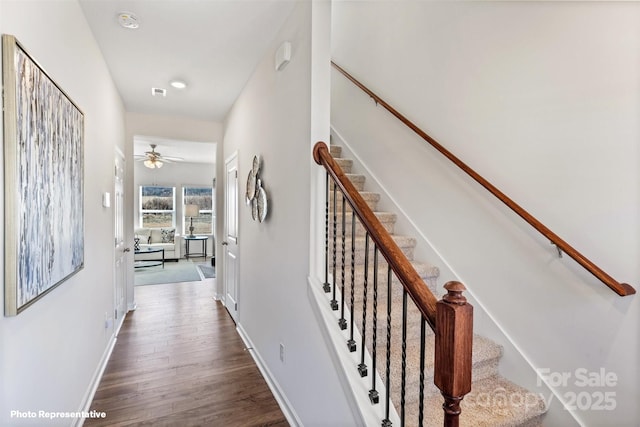 stairway with ceiling fan and hardwood / wood-style floors