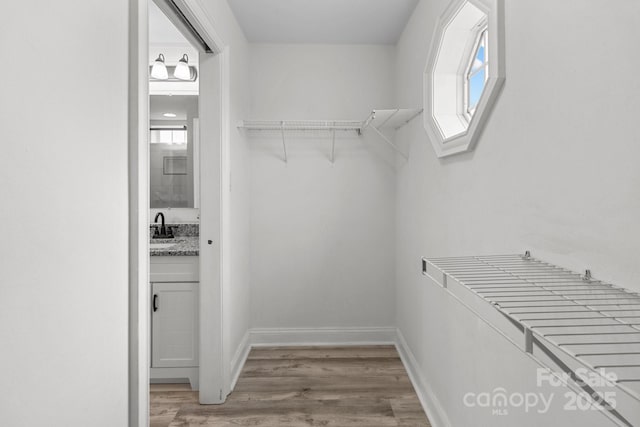 walk in closet with hardwood / wood-style flooring and sink