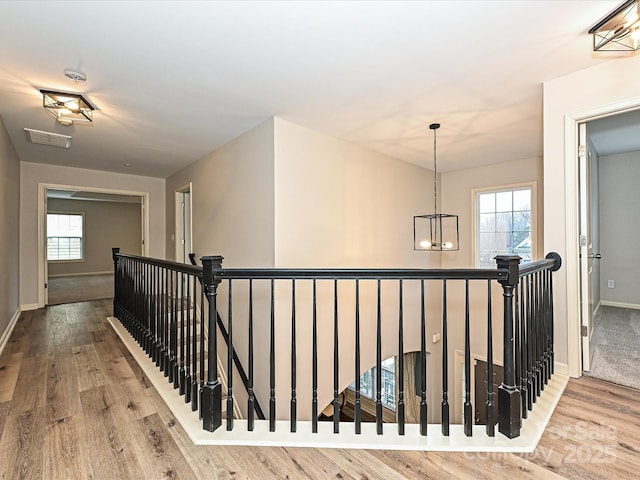 corridor with a healthy amount of sunlight and hardwood / wood-style floors