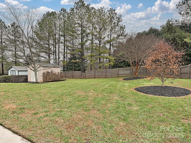 view of yard featuring a storage shed