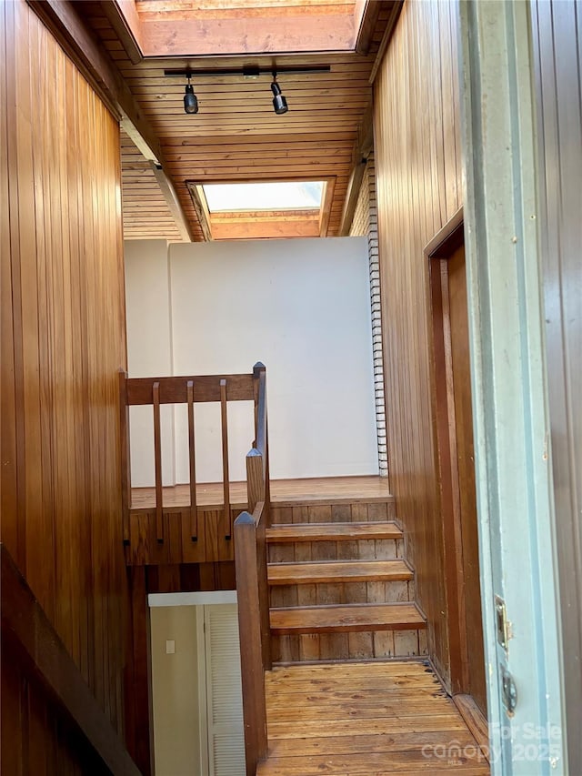 staircase with hardwood / wood-style flooring, rail lighting, a skylight, and wood walls