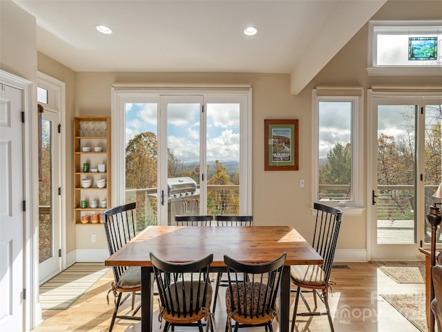 dining area with light hardwood / wood-style floors