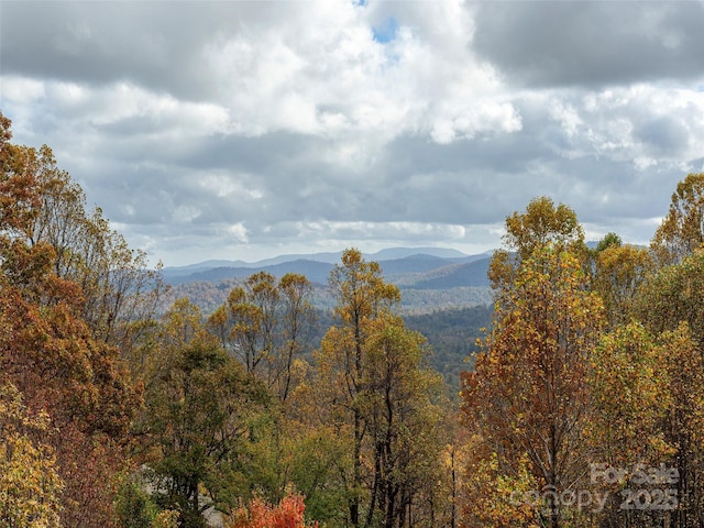 view of mountain feature