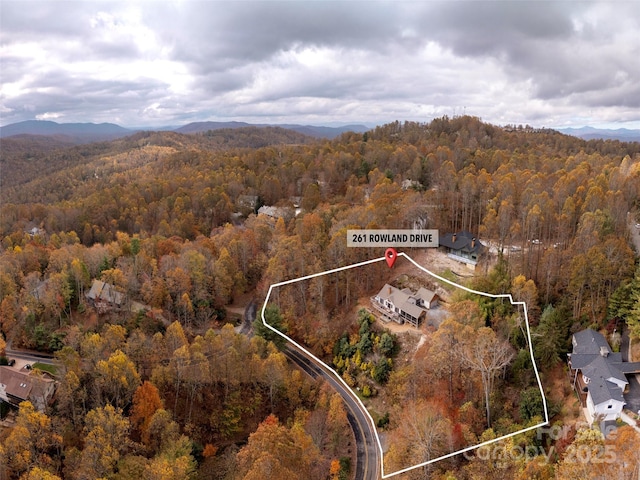 birds eye view of property featuring a mountain view