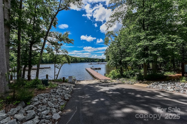 property view of water with a dock