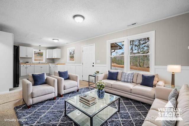 living room with ornamental molding, sink, and a textured ceiling