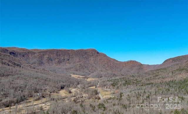 view of mountain feature