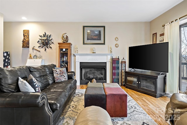 living room with hardwood / wood-style floors