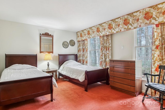 bedroom featuring carpet flooring