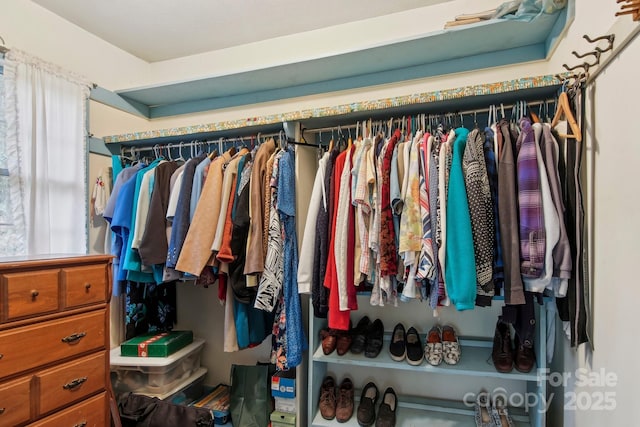 view of spacious closet