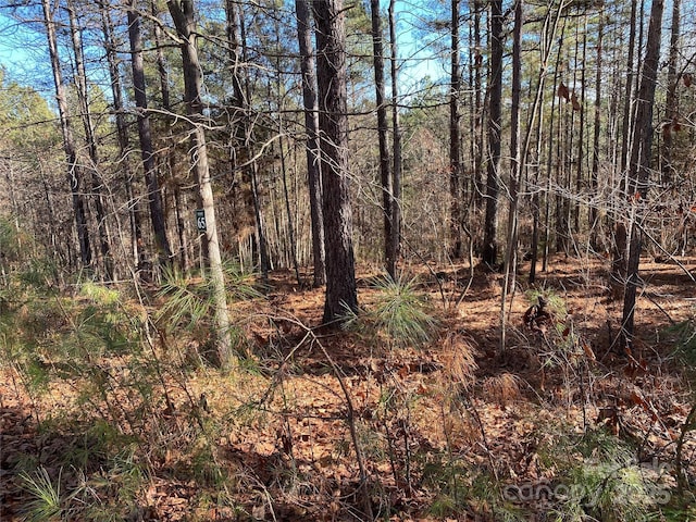 2052 Lighthouse Ln, Connelly Springs NC, 28612 land for sale