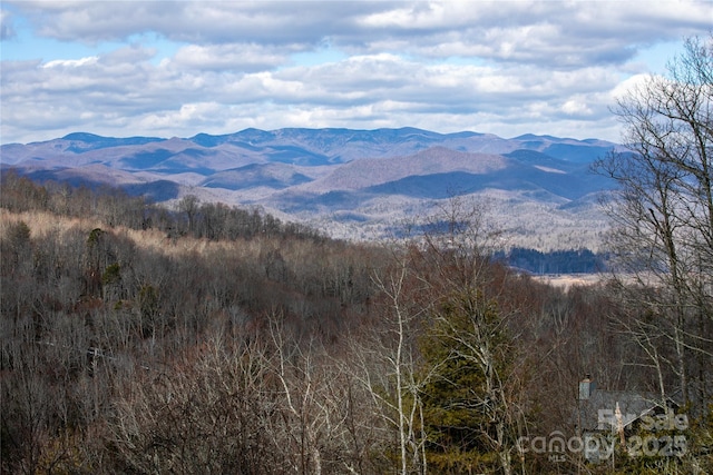 property view of mountains