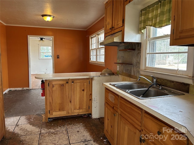 kitchen featuring crown molding and sink