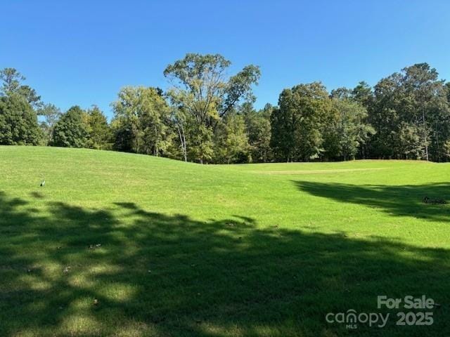 view of property's community with a yard