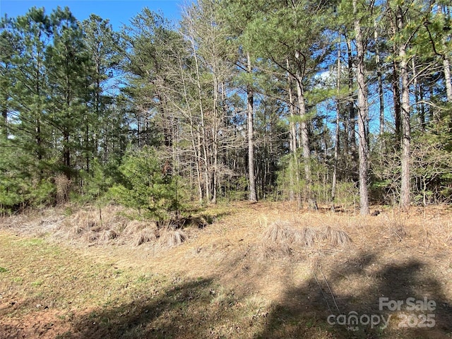 1156 Palomino Beach Ln, Connelly Springs NC, 28612 land for sale